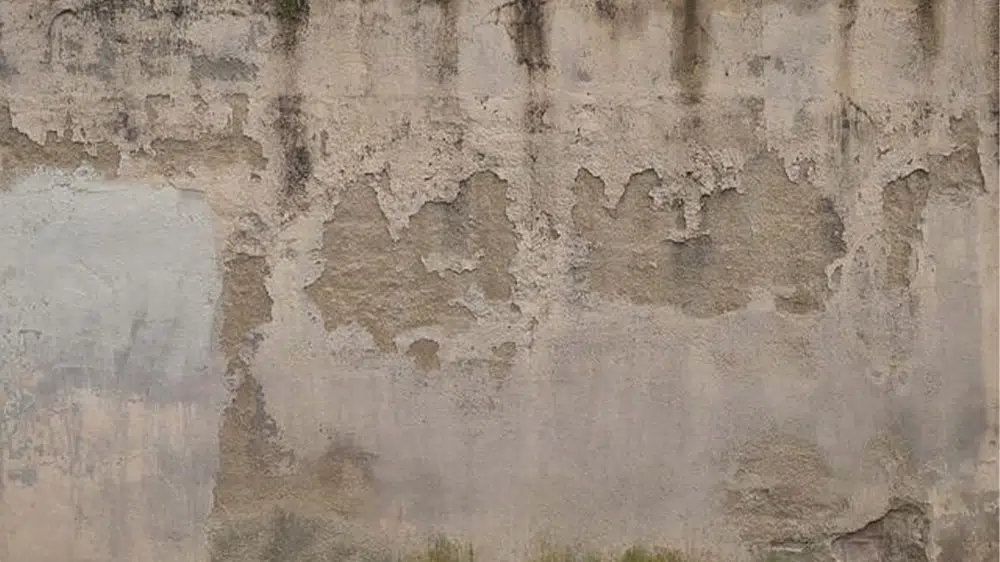 Tengo humedad en las fachadas, ¿qué puedo hacer? 1 humedad en las fachadas